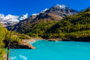 İsviçre sınırında İtalyan Alpleri 'nde turkuaz suyu bulunan yapay bir buzul gölü olan Moulin Gölü' nün sonbahar manzarası.