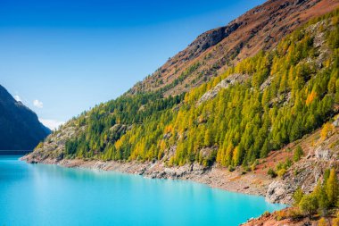 İsviçre sınırında İtalyan Alpleri 'nde turkuaz suyu bulunan yapay bir buzul gölü olan Moulin Gölü' nün sonbahar manzarası.