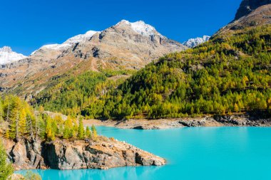 İsviçre sınırında İtalyan Alpleri 'nde turkuaz suyu bulunan yapay bir buzul gölü olan Moulin Gölü' nün sonbahar manzarası.