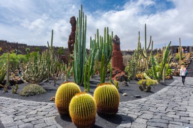 Lanzarote, Spain, 19 March 2022: The Cactus Garden, called 