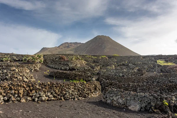 Monte Corona Volcano Lanzarote Canary Islands Spain — Stockfoto