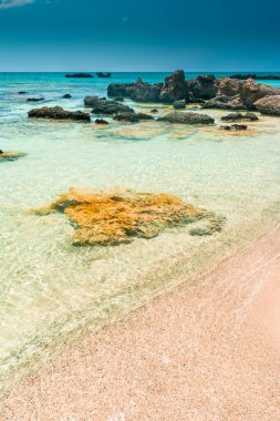 Elafonissi Sahili, Girit, Yunanistan 'da kristal berrak suyla muhteşem pembe kumsal