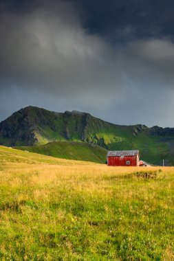Red house in a grass field under a mountain in the Lofoten Islands, Norway