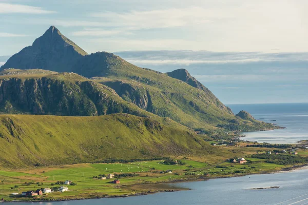 stock image Beautiful landscape of the Lofoten Islands during the golden hour, view from Offersoy Mount trail, Norway