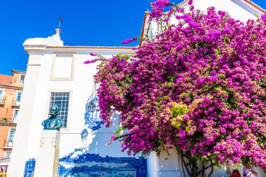 Santa Luzia'nın miradourosu