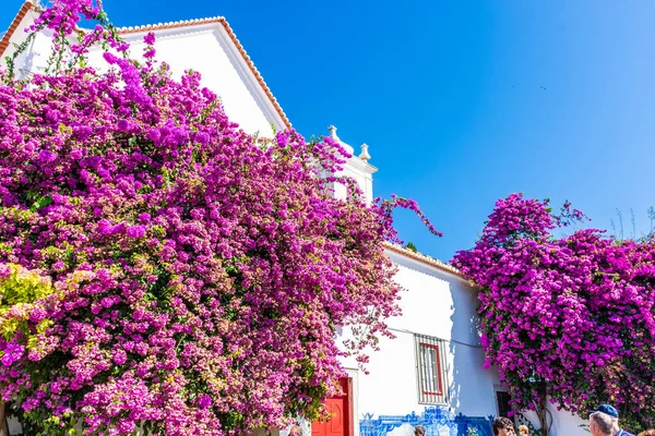 stock image The miradouro of Santa Luzia