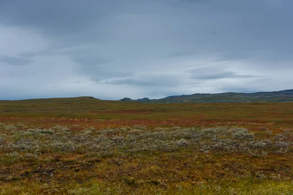 ノルウェー北部のツンドラの風景 — ストック写真