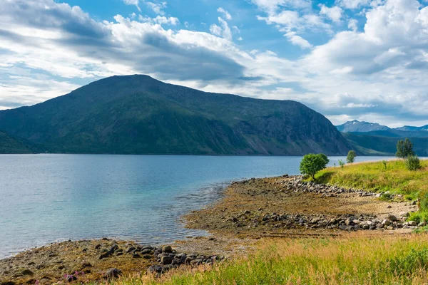 Landskap Vid Fjorden Senja Norge — Stockfoto