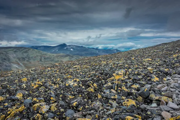 Paisagem Montanhosa Com Líquenes Besseggen Ridge Parque Nacional Jotunheimen Noruega — Fotografia de Stock