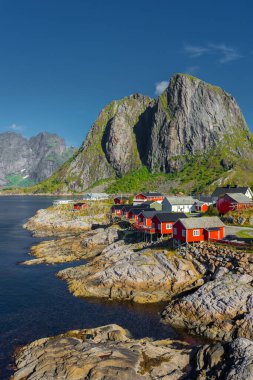 The little fishermen village with red houses of Hamnoy, in the Lofoten Islands, Norway clipart