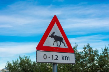 Norveç 'te geyik ya da geyik uyarısı