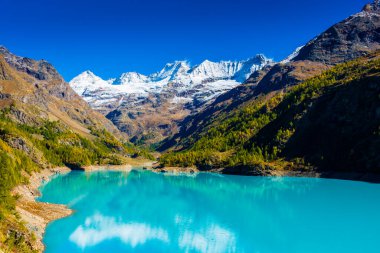 İsviçre sınırında İtalyan Alpleri 'nde turkuaz suyu bulunan yapay bir buzul gölü olan Moulin Gölü' nün sonbahar manzarası.