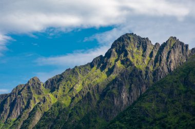 The crystal clear water of the Ersfjordstranda beach in Senja Island, Norway