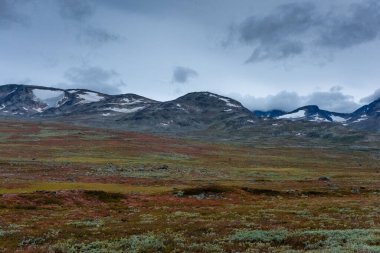 Landscape of the mountains and tundra of the Jotunheimen Plateau, central Norway
