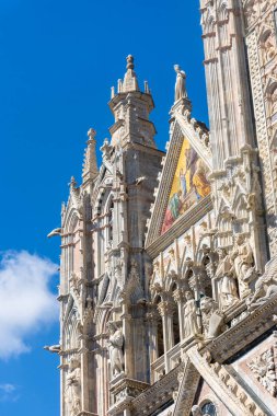 siena Katedrali, Toskana, İtalya ve cephe detay