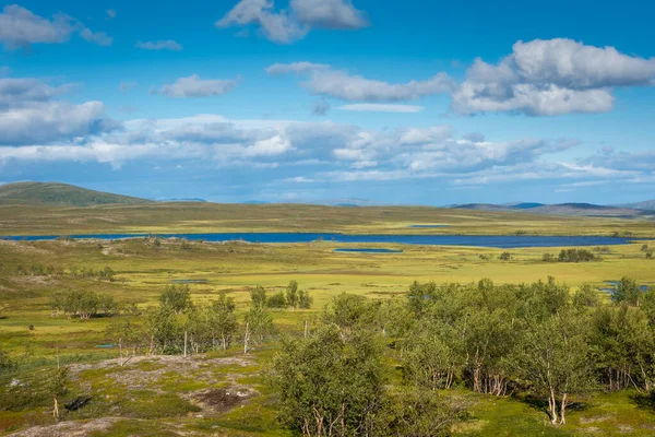 Norveç Finnmark Ilinde Bir Gölü Olan Tundra Manzarası — Stok fotoğraf