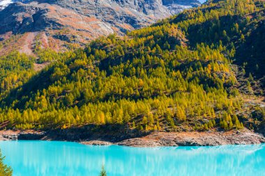 İsviçre sınırında İtalyan Alpleri 'nde turkuaz suyu bulunan yapay bir buzul gölü olan Moulin Gölü' nün sonbahar manzarası.