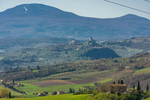 意大利托斯卡纳农村美丽的绿色风景 — 图库照片