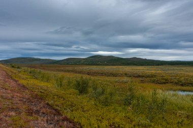 Kuzey Norveç 'teki tundra manzarası