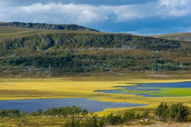 Norveç 'in Finnmark ilinde bir gölü olan tundra manzarası