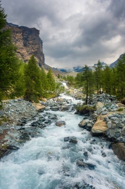 Ayes Dağı Vadisi 'nde akan nehir, Aosta Vadisi, İtalya