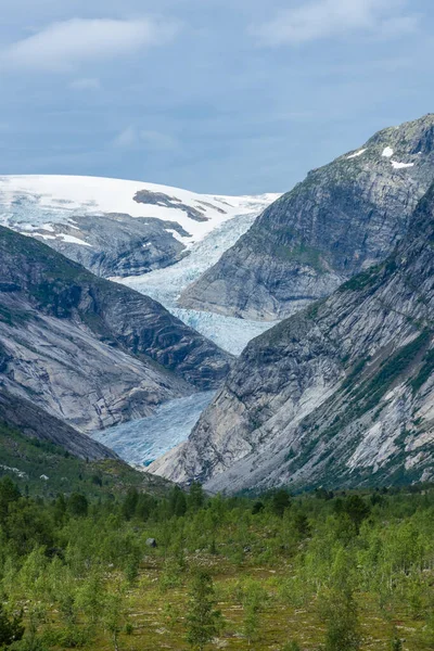 Krajinný Pohled Tající Ledovec Nigardsbreen Les Norsku — Stock fotografie