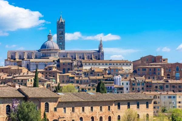 Siena 'nın tarihi merkezi Katedral, Toskana, İtalya