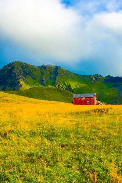 Red house in a grass field under a mountain in the Lofoten Islands, Norway