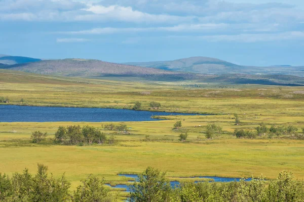 Landskap Tundran Med Sjö Finnmark Provinsen Norge — Stockfoto