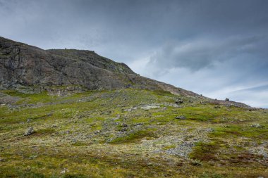 Norveç 'teki Jotunheimen Ulusal Parkı' nın vahşi manzarası