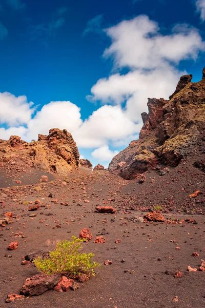 Interior Crater Cuervo Volcano Lanzarote Canary Islands Spain — Fotografia de Stock