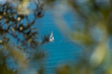 Ligurian Denizi, İtalya 'da yelkenli.
