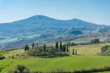 Toskana kırsalının güzel yeşil manzarası, İtalya