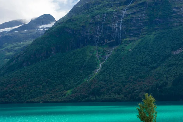 Landscape Lovatnet Glacial Lake Turquoise Crystal Clear Water Norway — Foto Stock
