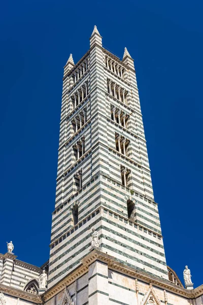 Campanile Siena Duomo Toscana Italia — Foto Stock