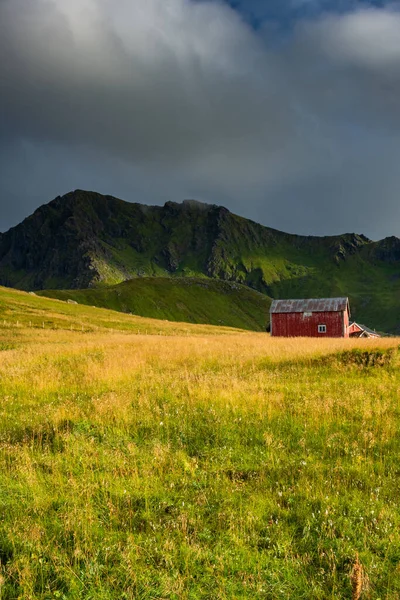 stock image Red house in a grass field under a mountain in the Lofoten Islands, Norway