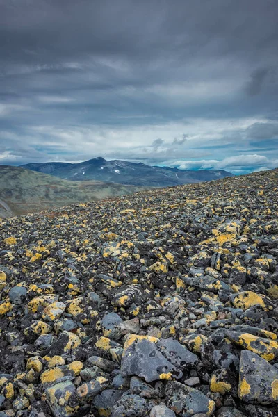 Paisaje Montaña Con Líquenes Besseggen Ridge Parque Nacional Jotunheimen Noruega — Foto de Stock