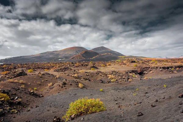 Wild Volcanic Landscape Los Volcanes Natural Park Lanzarote Canary Islands — Foto Stock
