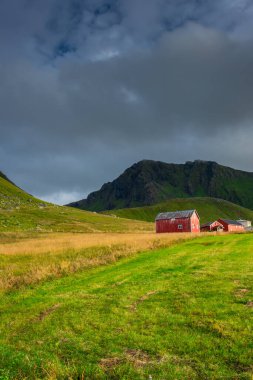 Red house in a grass field under a mountain in the Lofoten Islands, Norway