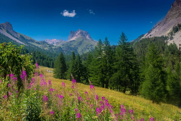 Beautiful Mountain Landscape Valley Front Mount Thabor Alps France - Stock-foto