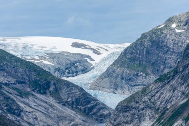 Norveç 'teki Nigardsbreen eriyen buzulunun ve ormanın manzarası