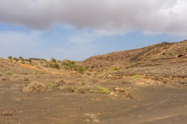 The stratified city of Lanzarote, a volcanic area with geological rock formations, Canary Islands, Spain