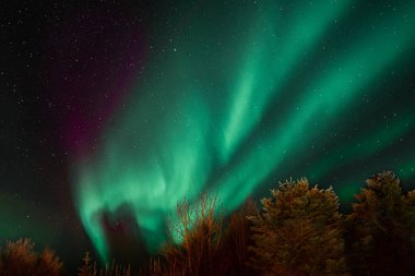 Göz kamaştırıcı turkuaz aurora borealis yıldızlı gökyüzünde mor nüanslar, İzlanda 'nın kuzey ışıkları