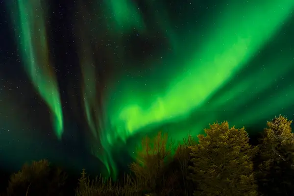 Stunning green aurora borealis with red nuances in the starry sky, northern lights in Iceland