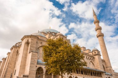 İstanbul, Türkiye 'deki Süleyman Camii' nin sonbahar manzarası