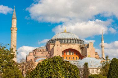 Sonbahar yapraklı Ayasofya Camii, İstanbul ve Türkiye