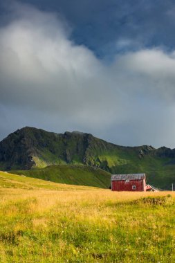 Red house in a grass field under a mountain in the Lofoten Islands, Norway