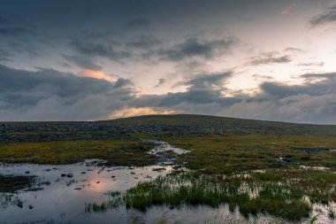 Knivskjellodden, tundrada bir patika Avrupa 'nın en kuzeyine doğru, Norveç