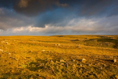 Gece yarısı güneşi Knivskjellodden üzerinde yükseliyor, tundrada Avrupa 'nın en kuzeyine doğru bir patika, Norveç