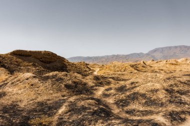 Antik Panjakent kalıntıları, Tacikistan 'daki eski yerleşim yerleri.